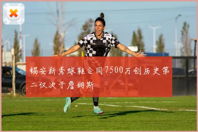 锡安新秀球鞋合同7500万创历史第二仅次于詹姆斯